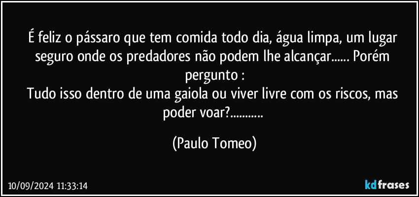 É feliz o pássaro que tem comida todo dia, água limpa, um lugar seguro onde os predadores não podem lhe alcançar... Porém pergunto :
Tudo isso dentro de uma gaiola ou viver livre com os riscos, mas poder voar?... (Paulo Tomeo)