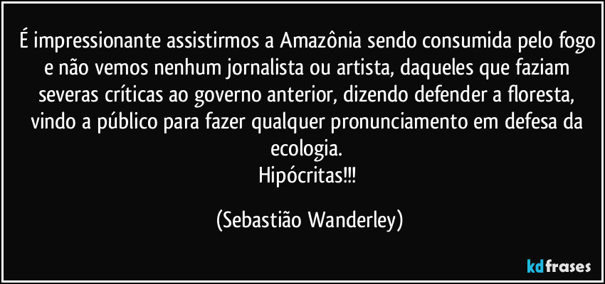 É impressionante assistirmos a Amazônia sendo consumida pelo fogo e não vemos nenhum jornalista ou artista, daqueles que faziam severas críticas ao governo anterior, dizendo defender a floresta, vindo a público para fazer qualquer pronunciamento em defesa da ecologia. 
Hipócritas!!! (Sebastião Wanderley)