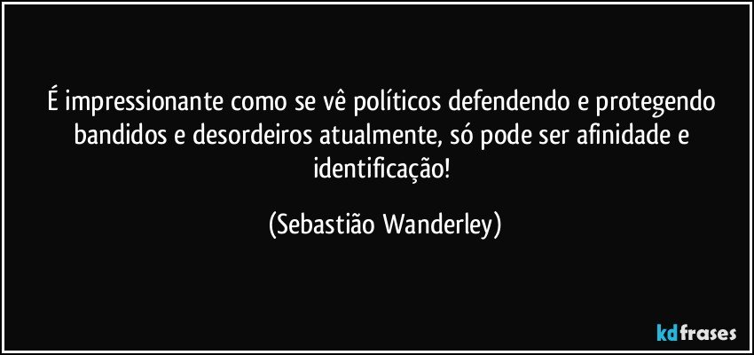 É impressionante como se vê políticos defendendo e protegendo bandidos e desordeiros atualmente, só pode ser afinidade e identificação! (Sebastião Wanderley)