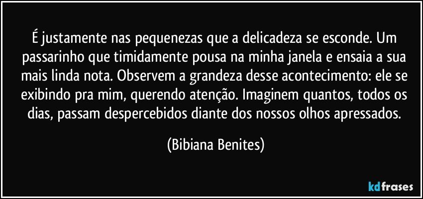 É justamente nas pequenezas que a delicadeza se esconde. Um passarinho que timidamente pousa na minha janela e ensaia a sua mais linda nota. Observem a grandeza desse acontecimento: ele se exibindo pra mim, querendo atenção. Imaginem quantos, todos os dias, passam despercebidos diante dos nossos olhos apressados. (Bibiana Benites)