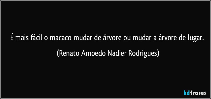 É mais fácil o macaco mudar de árvore ou mudar a árvore de lugar. (Renato Amoedo Nadier Rodrigues)