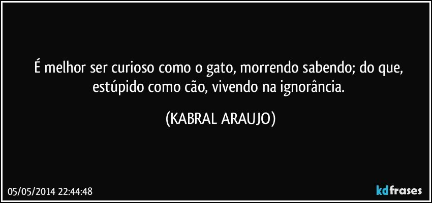 É melhor ser curioso como o gato, morrendo sabendo; do que, estúpido como cão, vivendo na ignorância. (KABRAL ARAUJO)