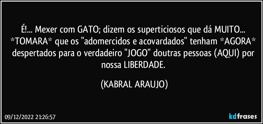 É!... Mexer com GATO; dizem os superticiosos que dá MUITO... 
*TOMARA* que os "adomercidos e acovardados" tenham *AGORA* despertados para o verdadeiro "JOGO" doutras pessoas (AQUI) por nossa LIBERDADE. (KABRAL ARAUJO)