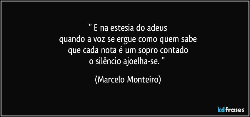 " E na estesia do adeus
quando a voz se ergue como quem sabe
que cada nota é um sopro contado
o silêncio ajoelha-se. " (Marcelo Monteiro)