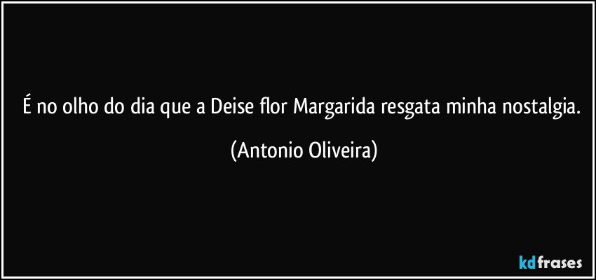 É no olho do dia que a Deise flor Margarida resgata minha nostalgia. (Antonio Oliveira)