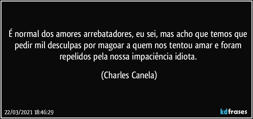 É normal dos amores arrebatadores, eu sei, mas acho que temos que pedir mil desculpas por magoar a quem nos tentou amar e foram repelidos pela nossa impaciência idiota. (Charles Canela)