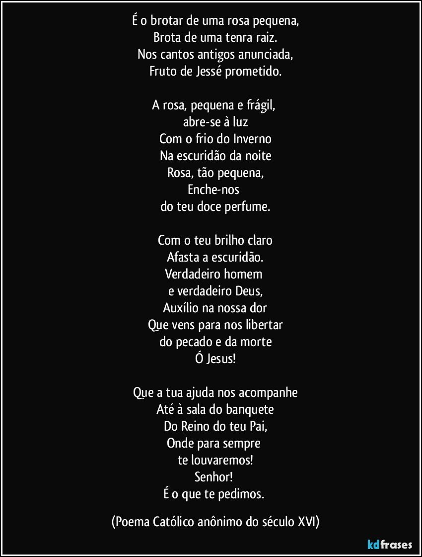 É o brotar de uma rosa pequena,
Brota de uma tenra raiz.
Nos cantos antigos anunciada,
Fruto de Jessé prometido.

A rosa, pequena e frágil, 
abre-se à luz
Com o frio do Inverno
Na escuridão da noite
Rosa, tão pequena,
Enche-nos 
do teu doce perfume.

Com o teu brilho claro
Afasta a escuridão.
Verdadeiro homem 
e verdadeiro Deus,
Auxílio na nossa dor
Que vens para nos libertar
do pecado e da morte
Ó Jesus!

Que a tua ajuda nos acompanhe
Até à sala do banquete
Do Reino do teu Pai,
Onde para sempre 
te louvaremos!
Senhor! 
É o que te pedimos. (Poema Católico anônimo do século XVI)