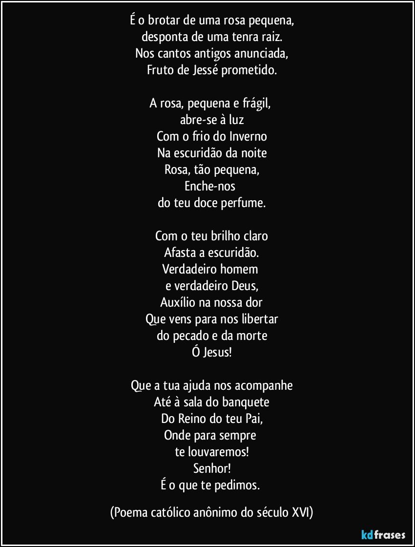 é o brotar de uma rosa pequena desponta de uma tenra raiz Nos cantos
