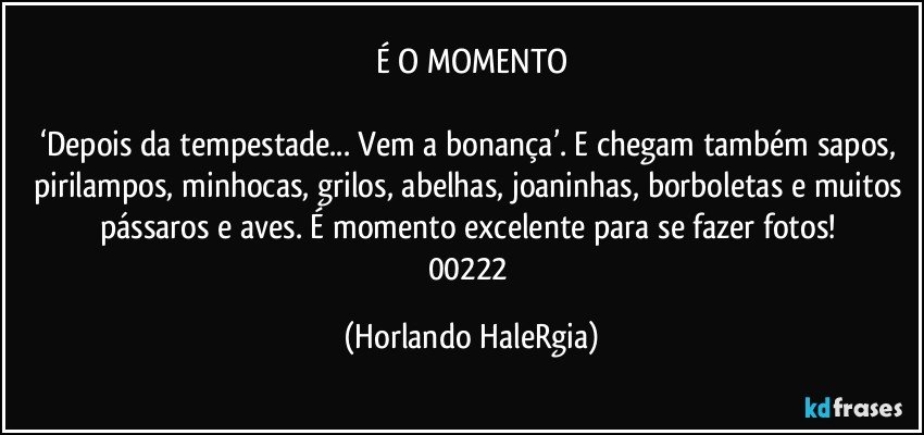 É O MOMENTO

‘Depois da tempestade... Vem a bonança’. E chegam também sapos, pirilampos, minhocas, grilos, abelhas, joaninhas, borboletas e muitos pássaros e aves. É momento excelente para se fazer fotos! 
00222 (Horlando HaleRgia)