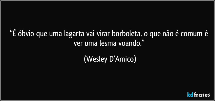 “É óbvio que uma lagarta vai virar borboleta, o que não é comum é ver uma lesma voando.” (Wesley D'Amico)