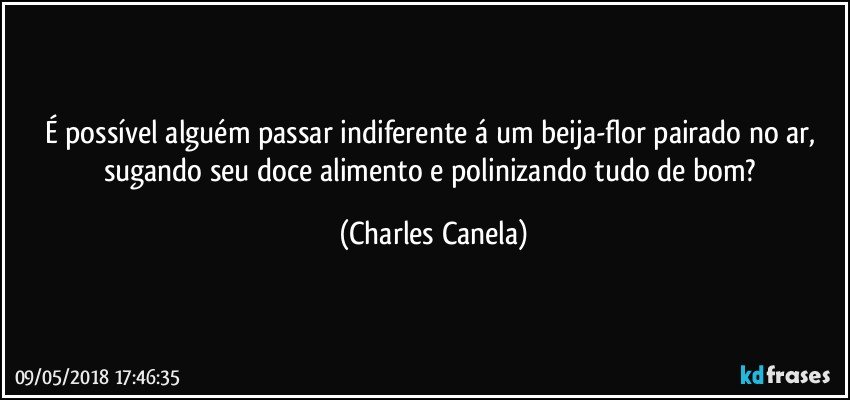 É possível alguém passar indiferente á um beija-flor pairado no ar, sugando seu doce alimento e polinizando tudo de bom? (Charles Canela)