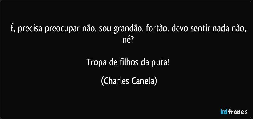 É, precisa preocupar não, sou grandão, fortão, devo sentir nada não, né? 

Tropa de filhos da puta! (Charles Canela)