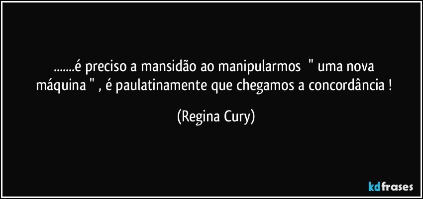 ...é preciso a mansidão    ao  manipularmos     "  uma nova máquina "  , é  paulatinamente  que chegamos a  concordância  ! (Regina Cury)