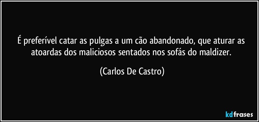 É preferível catar as pulgas a um cão abandonado, que aturar as atoardas dos maliciosos sentados nos sofás do maldizer. (Carlos De Castro)