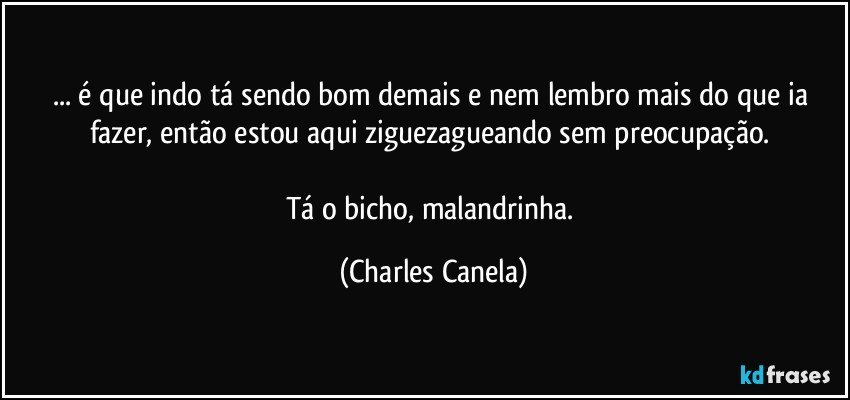 ... é que indo tá sendo bom demais e nem lembro mais do que ia fazer, então estou aqui ziguezagueando sem preocupação.  

Tá o bicho, malandrinha. (Charles Canela)