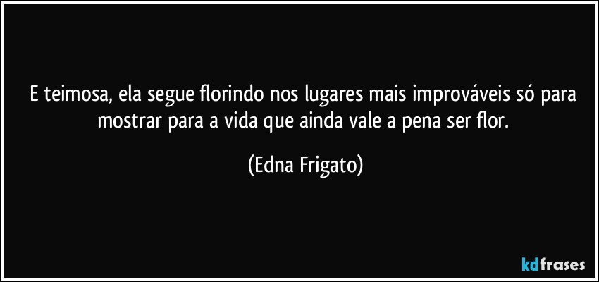 E teimosa, ela segue florindo nos lugares mais improváveis só para mostrar para a vida que ainda vale a pena ser flor. (Edna Frigato)