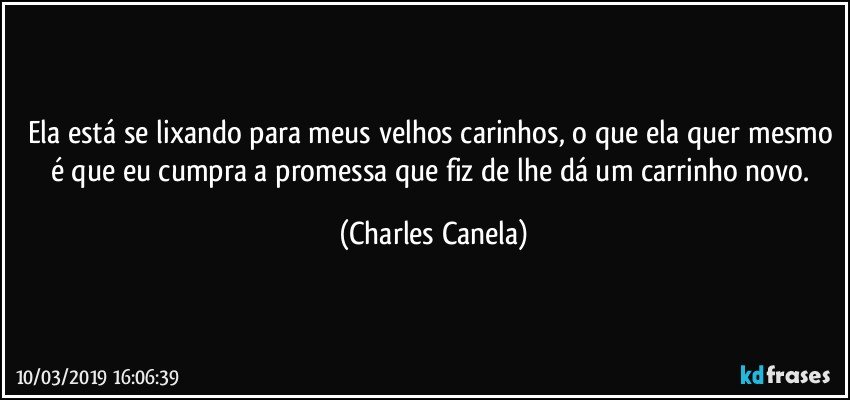 Ela está se lixando para meus velhos carinhos, o que ela quer mesmo é que eu cumpra a promessa que fiz de lhe dá um carrinho novo. (Charles Canela)