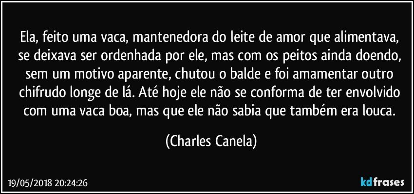 Ela, feito uma vaca, mantenedora do leite de amor  que alimentava, se deixava ser ordenhada por ele, mas com os peitos ainda doendo, sem um motivo aparente, chutou o balde e foi amamentar outro chifrudo longe de lá. Até hoje ele não se conforma de ter envolvido com uma vaca boa, mas que ele não sabia que também era louca. (Charles Canela)