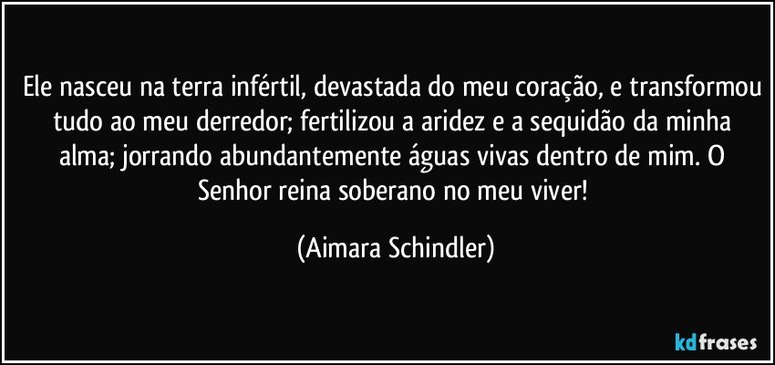 Ele nasceu na terra infértil, devastada do meu coração, e transformou tudo ao meu derredor; fertilizou a aridez e a sequidão da minha alma;  jorrando abundantemente águas vivas dentro de mim. O Senhor reina soberano no meu viver! (Aimara Schindler)