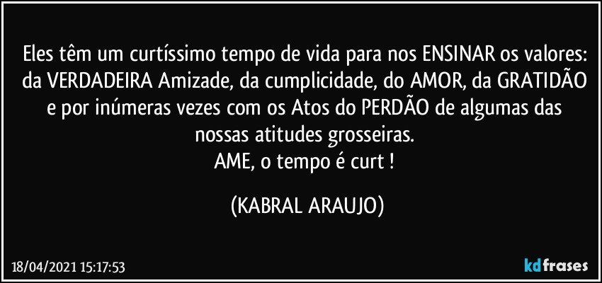 Eles têm um curtíssimo tempo de vida para nos ENSINAR os valores: da VERDADEIRA Amizade, da cumplicidade, do AMOR, da GRATIDÃO e por inúmeras vezes com os Atos do PERDÃO de algumas das nossas atitudes grosseiras. 
AME, o tempo é curt❤! (KABRAL ARAUJO)