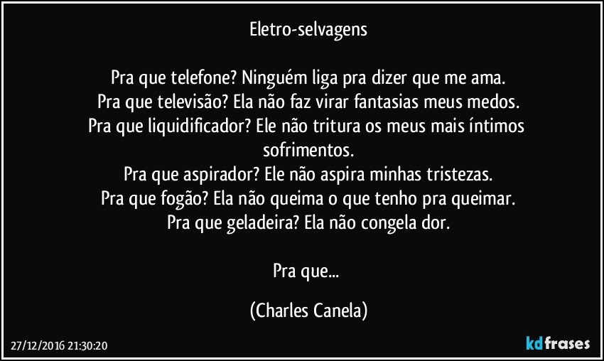 Eletro-selvagens

Pra que telefone? Ninguém liga pra dizer que me ama.
Pra que televisão? Ela não faz virar fantasias meus medos.
Pra que liquidificador? Ele não tritura os meus mais íntimos sofrimentos.
Pra que aspirador? Ele não aspira minhas tristezas.
Pra que fogão? Ela não queima o que tenho pra queimar.
Pra que geladeira? Ela não congela dor.

Pra que... (Charles Canela)