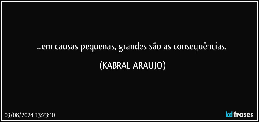 ...em causas pequenas, grandes são as consequências. (KABRAL ARAUJO)