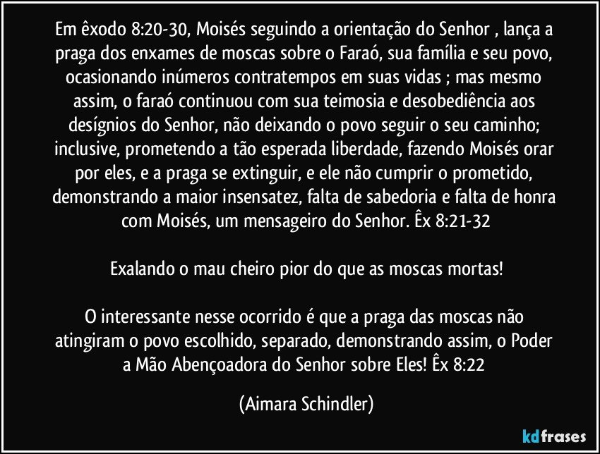 Em êxodo 8:20-30, Moisés seguindo a orientação do Senhor , lança a praga dos enxames de moscas sobre o Faraó, sua família e seu povo, ocasionando inúmeros contratempos em suas vidas ; mas mesmo assim, o faraó continuou com sua teimosia e desobediência aos desígnios do Senhor, não deixando o povo seguir o seu caminho; inclusive, prometendo a tão esperada liberdade, fazendo Moisés orar por eles, e a praga se extinguir, e ele não cumprir o prometido, demonstrando a maior insensatez, falta de sabedoria e falta de honra com Moisés, um mensageiro do Senhor. Êx 8:21-32

Exalando o mau cheiro pior do que as moscas mortas!

O interessante nesse ocorrido é que a praga das moscas não atingiram o povo escolhido, separado, demonstrando assim, o Poder a Mão Abençoadora do Senhor sobre Eles! Êx 8:22 (Aimara Schindler)