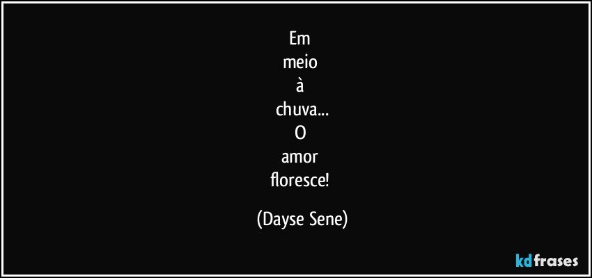 Em 
meio 
à 
chuva...
O 
amor 
floresce! (Dayse Sene)