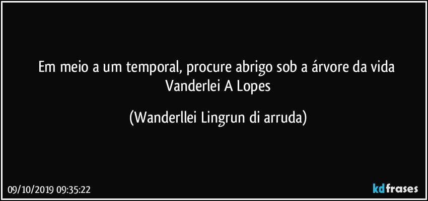 Em meio a um temporal, procure abrigo sob a árvore da vida 
 Vanderlei A Lopes (Wanderllei Lingrun di arruda)