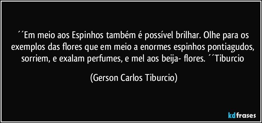 ´´Em meio aos Espinhos também é possível brilhar. Olhe para os exemplos das flores que em meio a enormes espinhos pontiagudos, sorriem, e exalam perfumes, e mel aos beija- flores. ´´Tiburcio (Gerson Carlos Tiburcio)