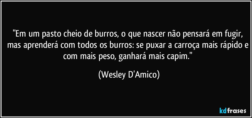 "Em um pasto cheio de burros, o que nascer não pensará em fugir, mas aprenderá com todos os burros: se puxar a carroça mais rápido e com mais peso, ganhará mais capim." (Wesley D'Amico)