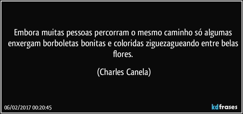 Embora muitas pessoas percorram o mesmo caminho só algumas enxergam borboletas bonitas e coloridas ziguezagueando entre belas flores. (Charles Canela)