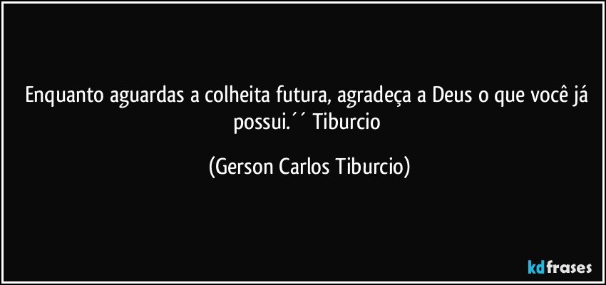 Enquanto aguardas a colheita futura, agradeça a Deus o que você já possui.´´ Tiburcio (Gerson Carlos Tiburcio)