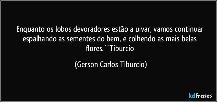 Enquanto os lobos devoradores estão a uivar, vamos continuar espalhando as sementes do bem, e colhendo as mais belas flores.´´Tiburcio (Gerson Carlos Tiburcio)