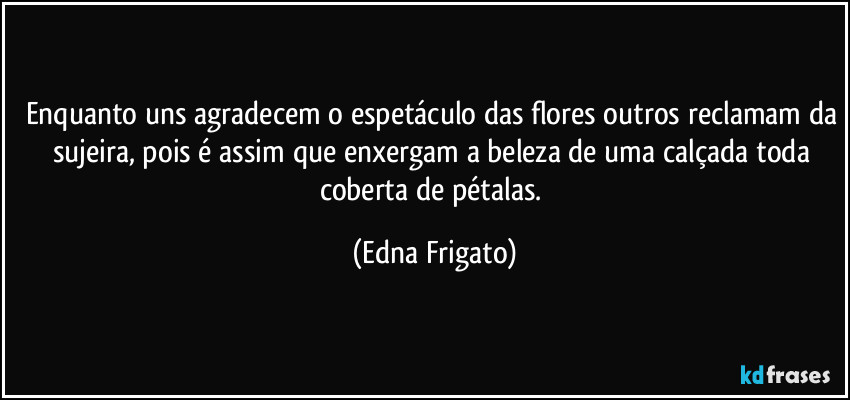 Enquanto uns agradecem o espetáculo das flores outros reclamam da sujeira, pois é assim que enxergam a beleza de uma calçada toda coberta de pétalas. (Edna Frigato)