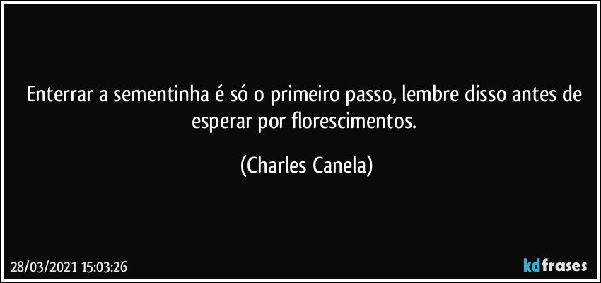 Enterrar a sementinha é só o primeiro passo, lembre disso antes de esperar por florescimentos. (Charles Canela)