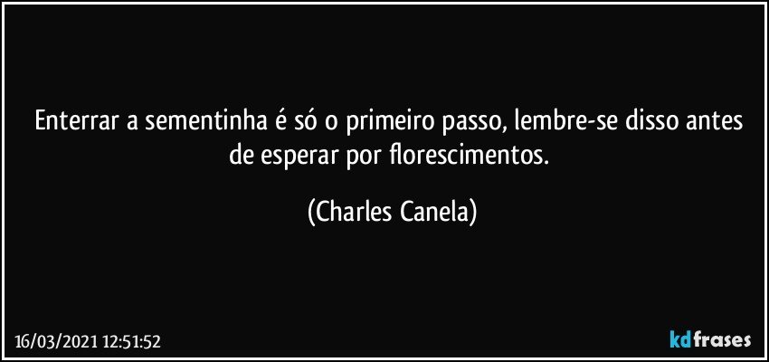 Enterrar a sementinha é só o primeiro passo, lembre-se disso antes de esperar por florescimentos. (Charles Canela)