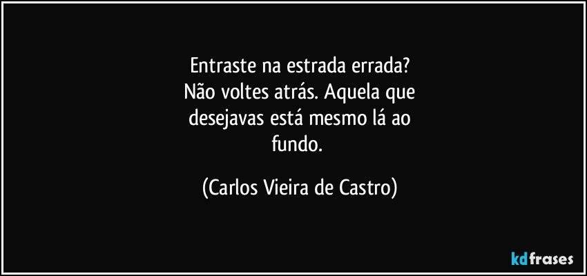 Entraste na estrada errada?
Não voltes atrás. Aquela que
desejavas está mesmo lá ao
fundo. (Carlos Vieira de Castro)