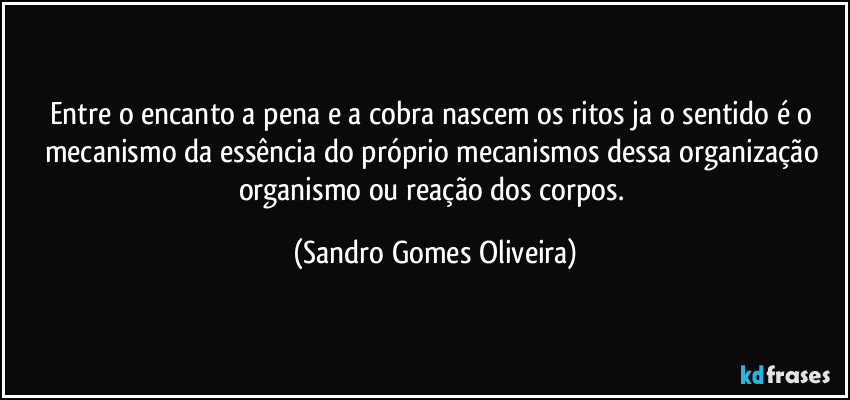 Entre o encanto a pena e a cobra nascem os ritos ja o sentido é o mecanismo da essência do próprio mecanismos dessa organização organismo ou reação dos corpos. (Sandro Gomes Oliveira)