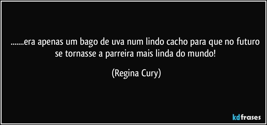 ...era apenas um bago de uva num lindo cacho para que no futuro se tornasse a parreira mais linda do mundo! (Regina Cury)