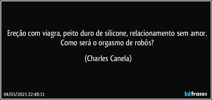 Ereção com viagra, peito duro de silicone, relacionamento sem amor. Como será o orgasmo de robôs? (Charles Canela)