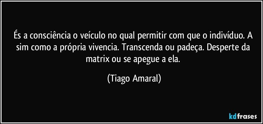 És a consciência o veículo no qual permitir com que o indivíduo. A sim como a própria vivencia. Transcenda ou padeça. Desperte da matrix ou se apegue a ela. (Tiago Amaral)