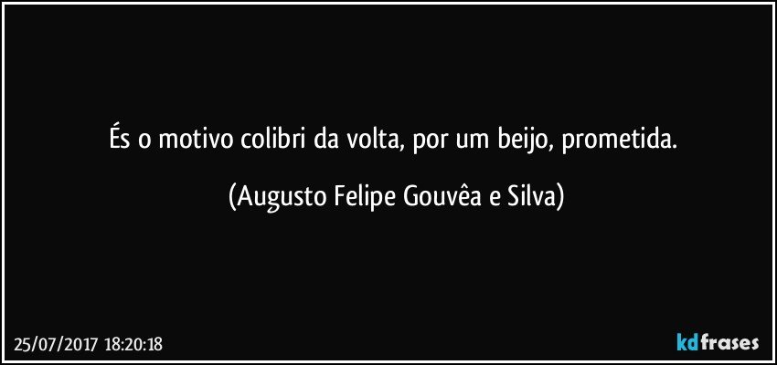 És o motivo colibri da volta, por um beijo, prometida. (Augusto Felipe Gouvêa e Silva)