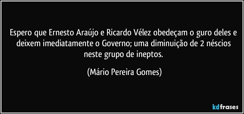 Espero que Ernesto Araújo e Ricardo Vélez obedeçam o guro deles e deixem imediatamente o Governo; uma diminuição de 2 néscios neste grupo de ineptos. (Mário Pereira Gomes)