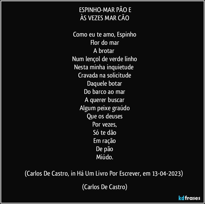 ⁠ESPINHO-MAR PÃO E
ÀS VEZES MAR CÃO

Como eu te amo, Espinho
Flor do mar
A brotar 
Num lençol de verde linho
Nesta minha inquietude 
Cravada na solicitude
Daquele botar
Do barco ao mar
A querer buscar
Algum peixe graúdo
Que os deuses
Por vezes,
Só te dão
Em ração
De pão
Miúdo.

(Carlos De Castro, in Há Um Livro Por Escrever, em 13-04-2023) (Carlos De Castro)