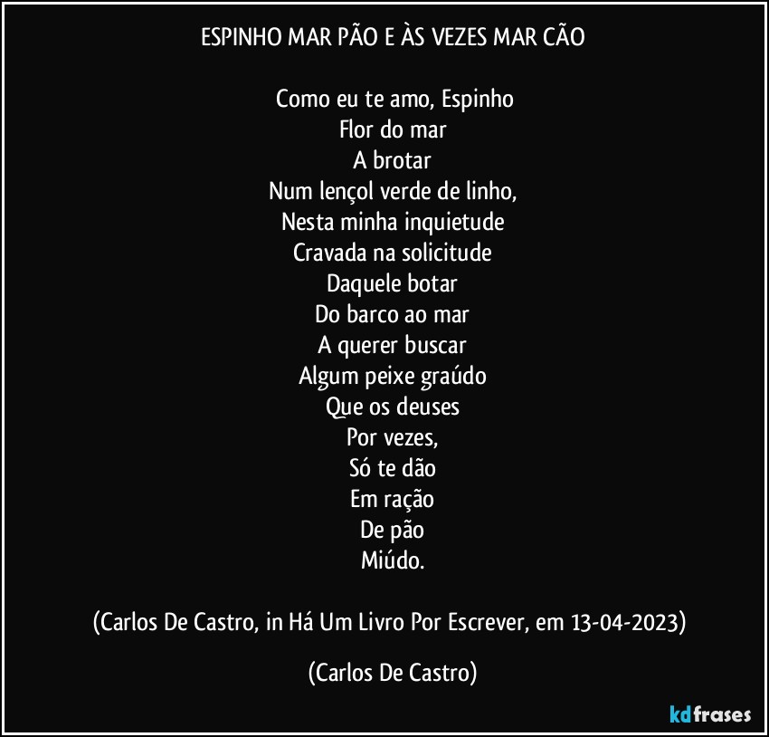 ESPINHO MAR PÃO E ÀS VEZES MAR CÃO

⁠Como eu te amo, Espinho
Flor do mar
A brotar
Num lençol verde de linho,
Nesta minha inquietude
Cravada na solicitude
Daquele botar
Do barco ao mar
A querer buscar
Algum peixe graúdo
Que os deuses
Por vezes,
Só te dão
Em ração
De pão
Miúdo.

(Carlos De Castro, in Há Um Livro Por Escrever, em 13-04-2023) (Carlos De Castro)