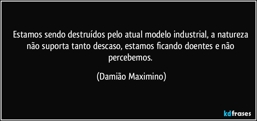 Estamos sendo destruídos pelo atual modelo industrial, a natureza não suporta tanto descaso, estamos ficando doentes e não percebemos. (Damião Maximino)