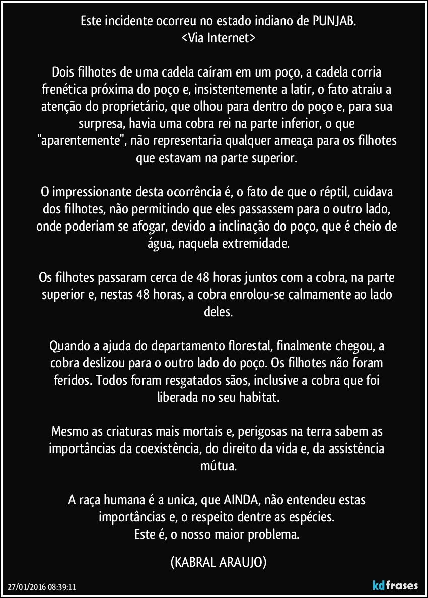 Este incidente ocorreu no estado indiano de PUNJAB.
<Via Internet>

Dois filhotes de uma cadela caíram em um poço, a cadela corria frenética próxima do poço e, insistentemente a latir, o fato atraiu a atenção do proprietário, que olhou para dentro do poço e, para sua surpresa, havia uma cobra rei na parte inferior, o que "aparentemente", não representaria qualquer ameaça para os filhotes que estavam na parte superior. 

O impressionante desta ocorrência é, o fato de que o réptil, cuidava dos filhotes, não permitindo que eles passassem para o outro lado, onde poderiam se afogar, devido a inclinação do poço, que é cheio de água, naquela extremidade.

Os filhotes passaram cerca de 48 horas juntos com a cobra, na parte superior e, nestas 48 horas, a cobra enrolou-se calmamente ao lado deles.

Quando a ajuda do departamento florestal, finalmente chegou, a cobra deslizou para o outro lado do poço. Os filhotes não foram feridos. Todos foram resgatados sãos, inclusive a cobra que foi liberada no seu habitat.

Mesmo as criaturas mais mortais e, perigosas na terra sabem as importâncias da coexistência, do direito da vida e, da assistência mútua.

A raça humana é a unica, que AINDA, não entendeu estas importâncias e, o respeito dentre as espécies. 
Este é, o nosso maior problema. (KABRAL ARAUJO)