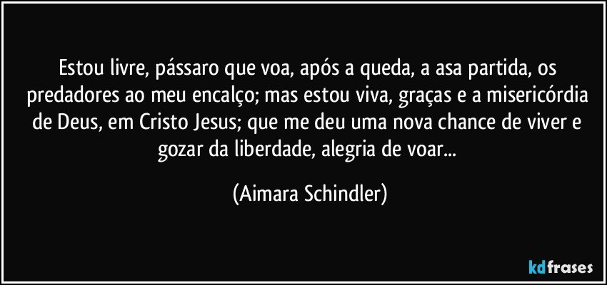 Estou livre, pássaro que voa, após a queda, a asa partida, os predadores ao meu encalço; mas estou viva, graças e a misericórdia de Deus, em Cristo Jesus; que me deu uma nova chance de viver e gozar  da liberdade, alegria de voar... (Aimara Schindler)