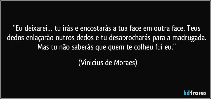 “Eu deixarei… tu irás e encostarás a tua face em outra face. Teus dedos enlaçarão outros dedos e tu desabrocharás para a madrugada. Mas tu não saberás que quem te colheu fui eu.” (Vinicius de Moraes)